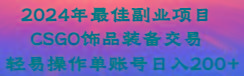 2024年最佳副业项目 CSGO饰品装备交易 轻易操作单账号日入200+-鼎誉项目网