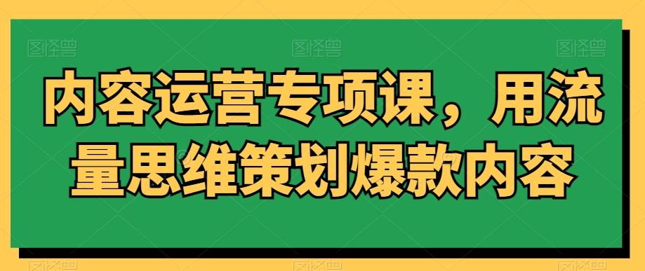 内容运营专项课，用流量思维策划爆款内容-鼎誉项目网