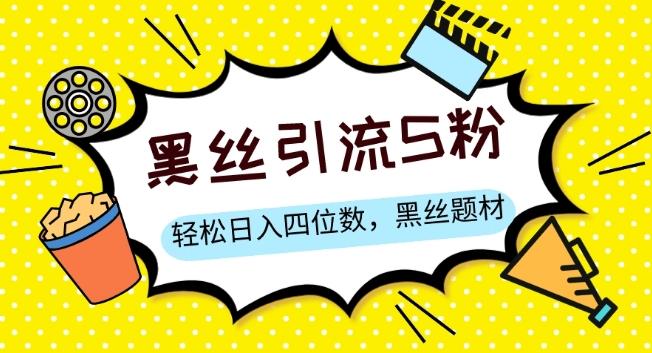S粉变现，轻松日入四位数，黑丝题材+情感话术【揭秘】-鼎誉项目网