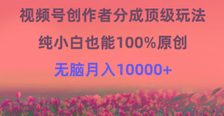 (9608期)视频号创作者分成顶级玩法，纯小白也能100%原创，无脑月入10000+-鼎誉项目网