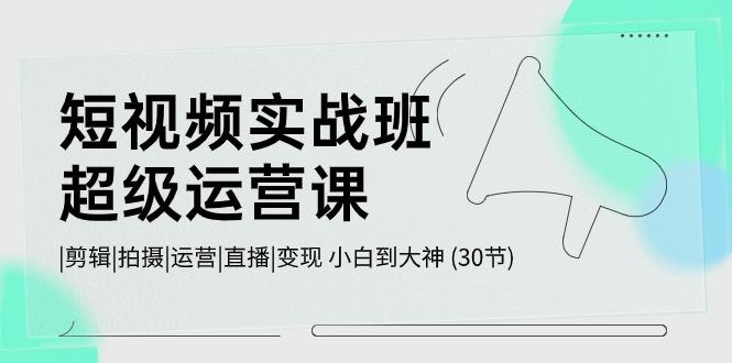 短视频实战班超级运营课 |剪辑|拍摄|运营|直播|变现 小白到大神 (30节)-鼎誉项目网
