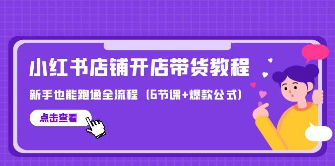 (9883期)最新小红书店铺开店带货教程，新手也能跑通全流程(6节课+爆款公式)-鼎誉项目网