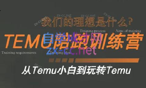 苗苗·拼多多跨境（temu）课程-鼎誉项目网