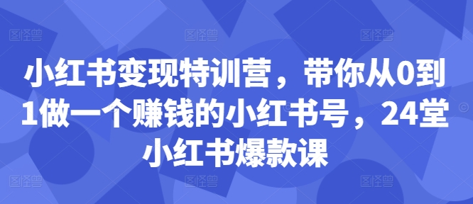 小红书变现特训营，带你从0到1做一个赚钱的小红书号，24堂小红书爆款课-鼎誉项目网