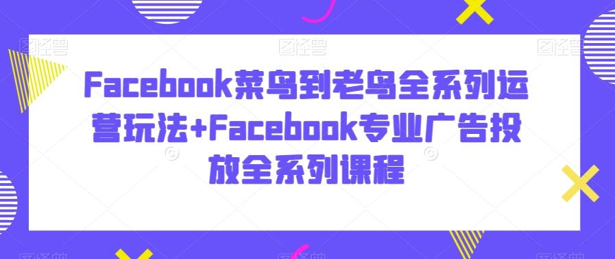 Facebook菜鸟到老鸟全系列运营玩法+Facebook专业广告投放全系列课程-鼎誉项目网