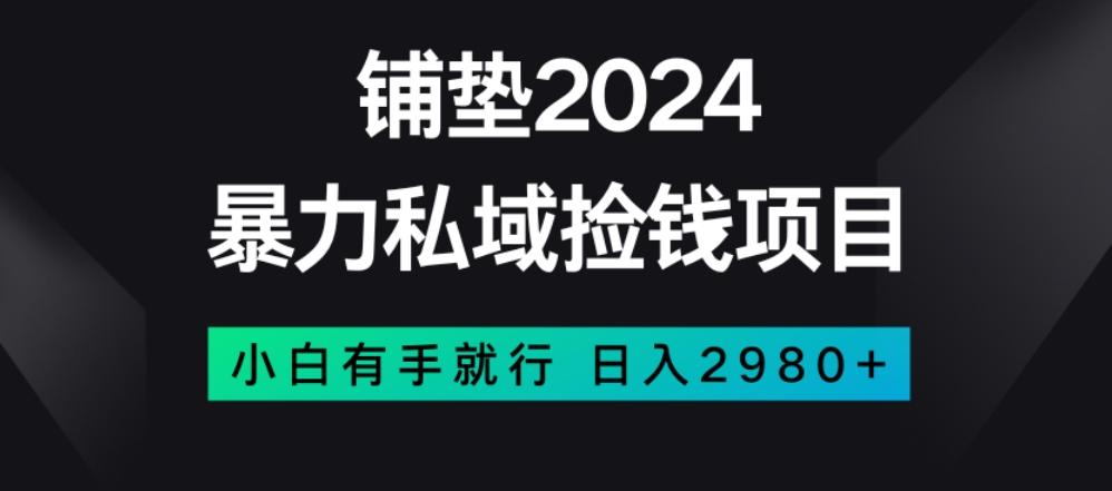 暴力私域捡钱项目，小白无脑操作，日入2980【揭秘】-鼎誉项目网