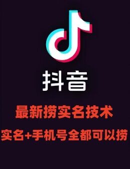 最新技术抖音捞实名+捞手机号技术，抖音直播封禁释放十名/手机号，直接替换出来!-鼎誉项目网