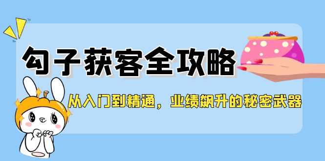 从入门到精通，勾子获客全攻略，业绩飙升的秘密武器-鼎誉项目网