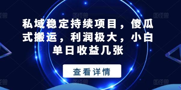 私域稳定持续项目，傻瓜式搬运，利润极大，小白单日收益几张【揭秘】-鼎誉项目网