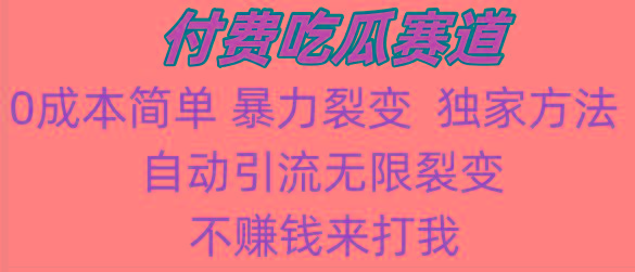 吃瓜付费赛道，暴力无限裂变，0成本，实测日入700+！！！-鼎誉项目网