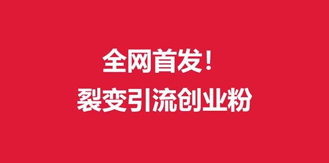 (全网首发)外面收费几千的裂变引流高质量创业粉-鼎誉项目网