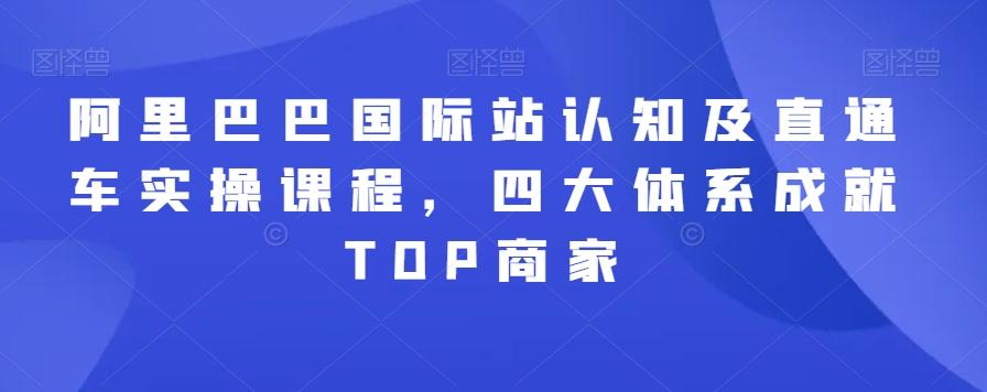 阿里巴巴国际站认知及直通车实操课程，四大体系成就TOP商家-鼎誉项目网