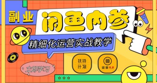 闲鱼精细化运营入门+高阶实战教学，从底层逻辑到轻松变现，多维度玩转闲鱼副业-鼎誉项目网