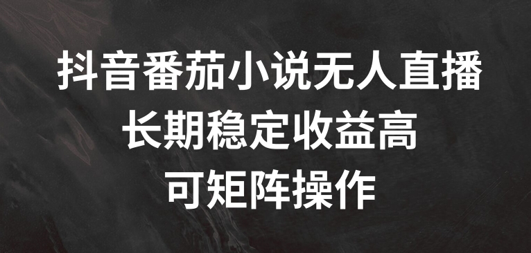 抖音番茄小说无人直播，长期稳定收益高，可矩阵操作【揭秘】-鼎誉项目网