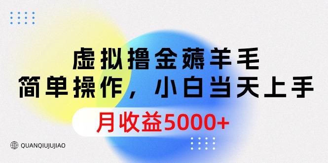 (9864期)虚拟撸金薅羊毛，简单操作，小白当天上手，月收益5000+-鼎誉项目网