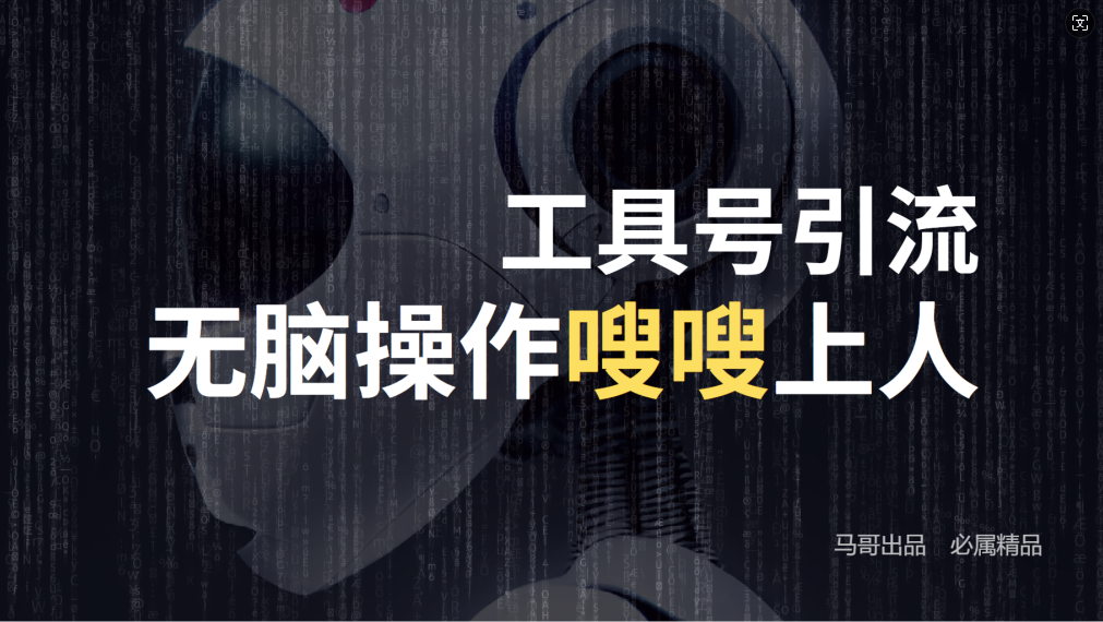 24年抖音最新工具号日引流300+创业粉，日入5000+-鼎誉项目网