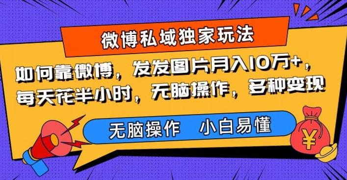 如何靠微博，发发图片月入10万+，‌每天花半小时，无脑操作，多种变现-鼎誉项目网