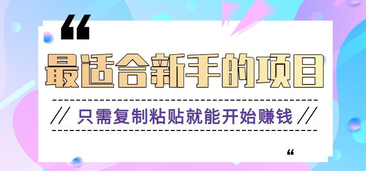 2024最适合新手操作的项目,新手小白只需复制粘贴就能开始赚钱【视频教程+软件】-鼎誉项目网