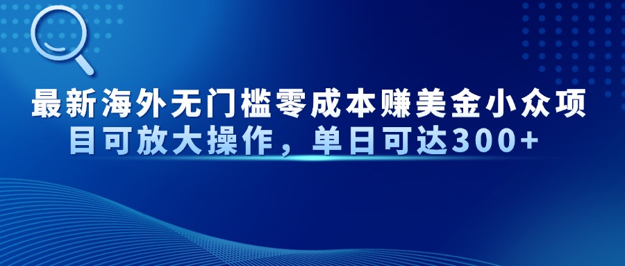 最新海外无门槛零成本赚美金小众项目可放大操作，单日可达300+-鼎誉项目网