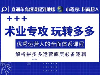 术业专攻玩转多多，优秀运营人的全面体系课程，解析拼多多运营底层必备逻辑-鼎誉项目网