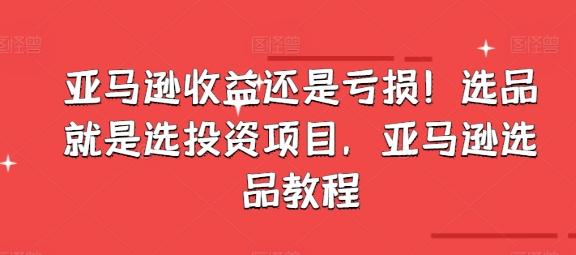 亚马逊收益还是亏损！选品就是选投资项目，亚马逊选品教程-鼎誉项目网