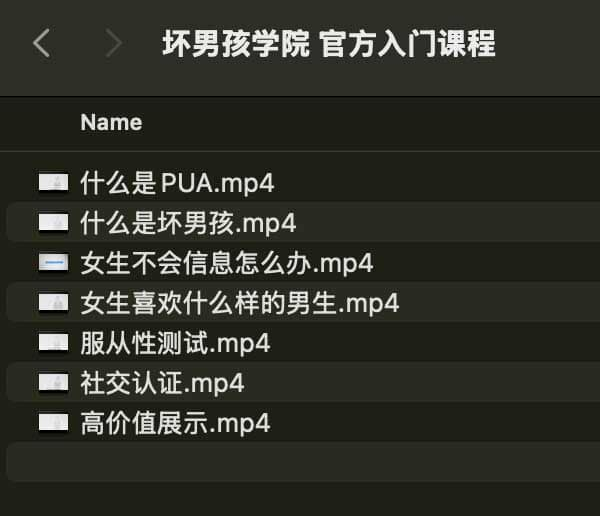 坏男孩学院 官方入门课程-鼎誉项目网