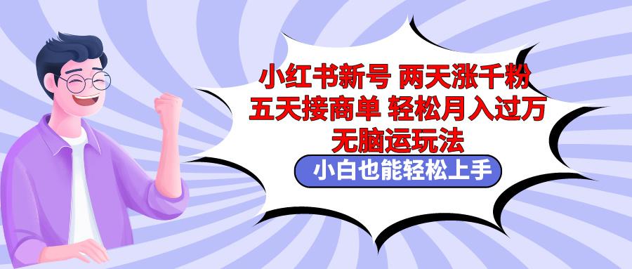 小红书新号两天涨千粉五天接商单轻松月入过万 无脑搬运玩法 小白也能轻…-鼎誉项目网