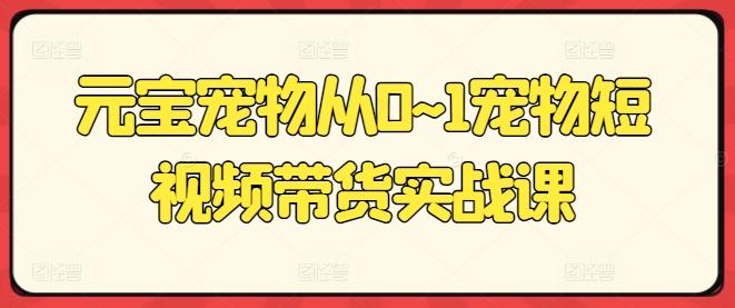 元宝宠物从0~1宠物短视频带货实战课-鼎誉项目网