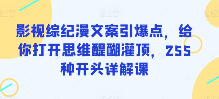 影视综纪漫文案引爆点，给你打开思维醍醐灌顶，255种开头详解课-鼎誉项目网