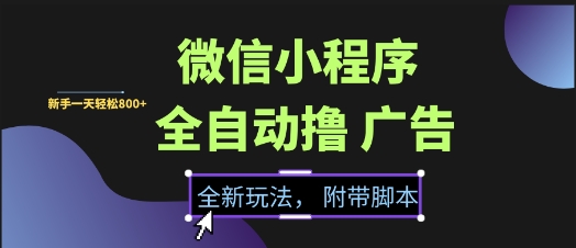 微信小程序全自动撸广告项目，彻底解决没流量的问题，新手一天8张+【揭秘】-鼎誉项目网