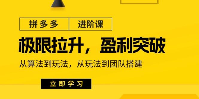 拼多多·进阶课：极限拉升/盈利突破：从算法到玩法 从玩法到团队搭建-18节-鼎誉项目网