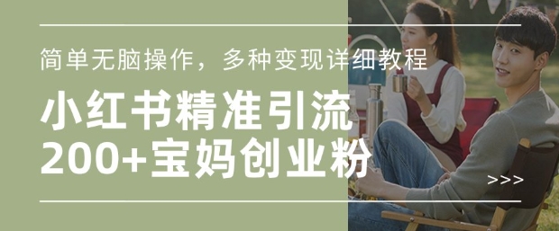 小红书混剪日引200+宝妈创业粉，简单无脑操作，多种变现详细教程-鼎誉项目网
