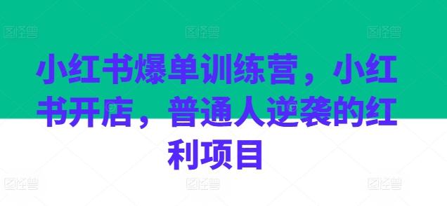 小红书爆单训练营，小红书开店，普通人逆袭的红利项目-鼎誉项目网