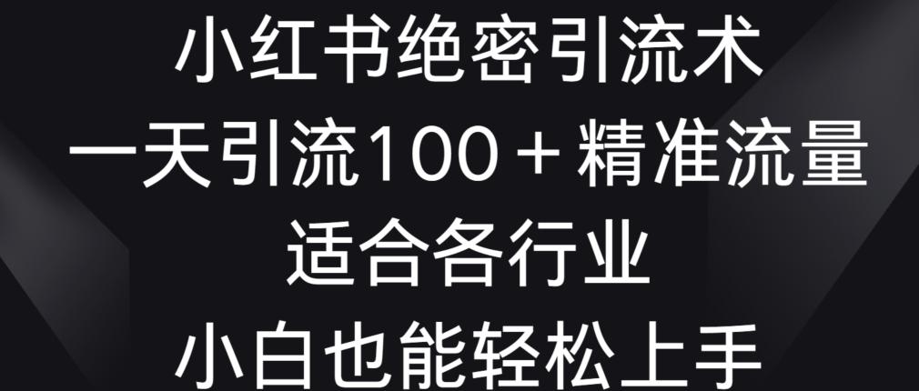 小红书绝密引流术，一天引流100+精准流量，适合各个行业，小白也能轻松上手【揭秘】-鼎誉项目网