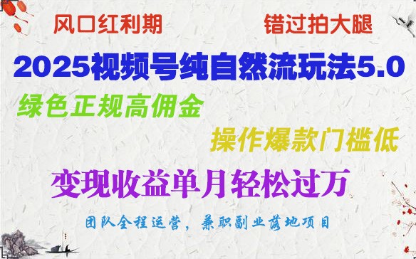 2025视频号纯自然流玩法5.0,绿色正规高佣金,操作爆款门槛低,变现收益单月轻松过万-鼎誉项目网