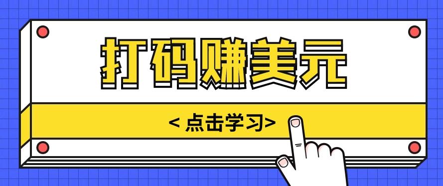手动输入验证码，每天多投入几个小时，也能轻松获得两三千元的收入-鼎誉项目网
