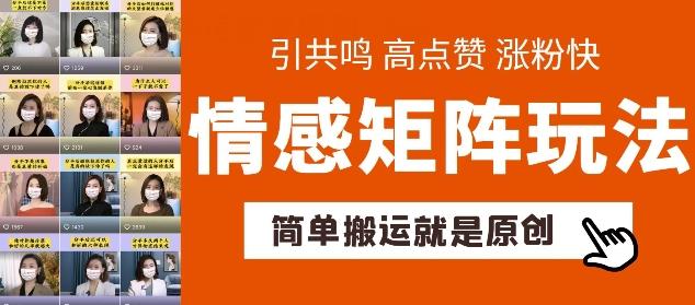 简单搬运，情感矩阵玩法，涨粉速度快，可带货，可起号【揭秘】-鼎誉项目网