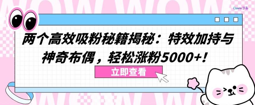 两个高效吸粉秘籍揭秘：特效加持与神奇布偶，轻松涨粉5000+【揭秘】-鼎誉项目网
