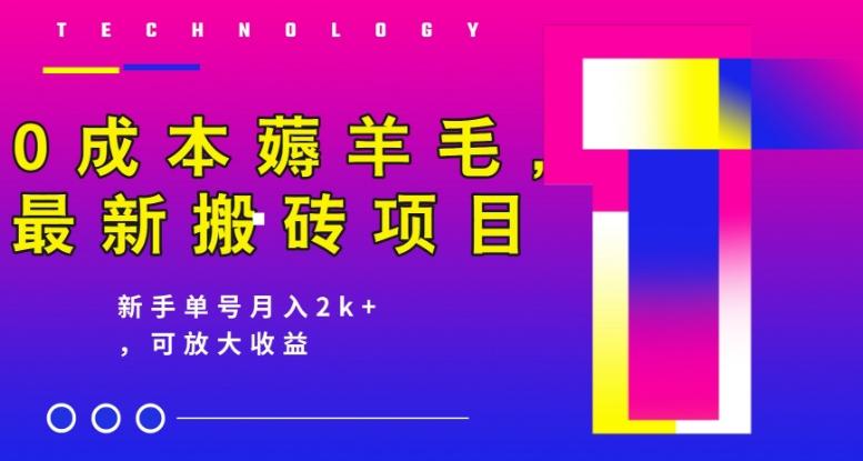 0成本薅羊毛，最新搬砖项目，新手单号月入2k+，可放大操作-鼎誉项目网