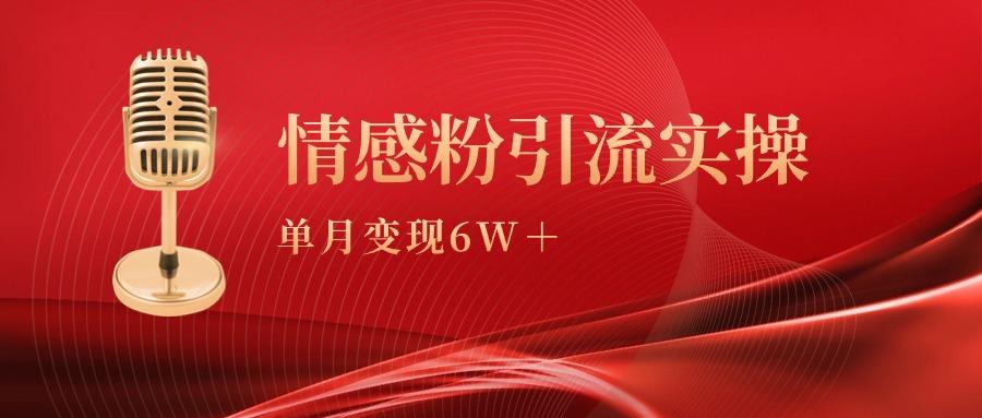 (9473期)单月变现6w+，情感粉引流变现实操课-鼎誉项目网