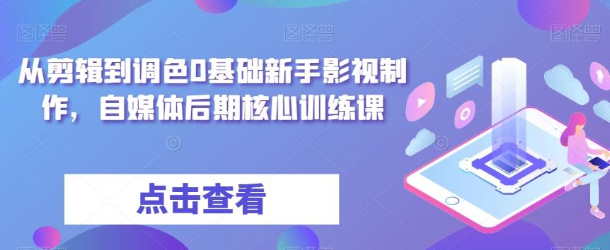 从剪辑到调色0基础新手影视制作，自媒体后期核心训练课-鼎誉项目网