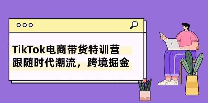 TikTok电商带货特训营，跟随时代潮流，跨境掘金(8节课-鼎誉项目网