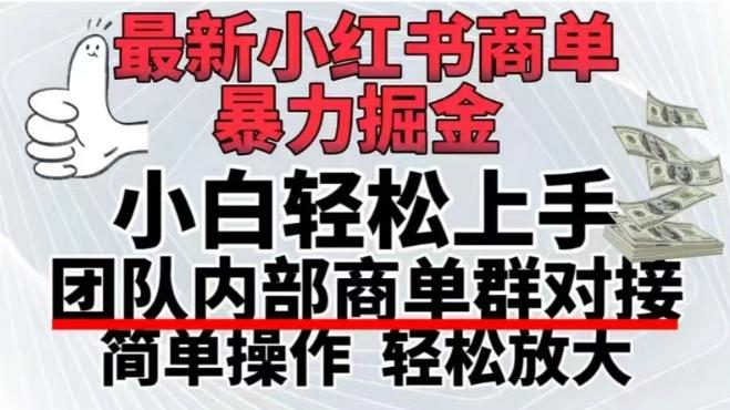 最新小红书商单，暴力掘金，单月稳定变现3W+-鼎誉项目网