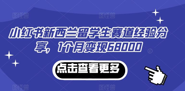 小红书新西兰留学生赛道经验分享，1个月变现68000【揭秘】-鼎誉项目网