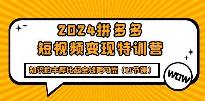 (9817期)2024拼多多短视频变现特训营，知识的丰厚比起金钱更可靠(11节课)-鼎誉项目网