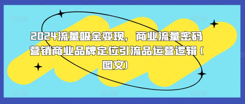 2024流量吸金变现，商业流量密码营销商业品牌定位引流品运营逻辑(图文)-鼎誉项目网