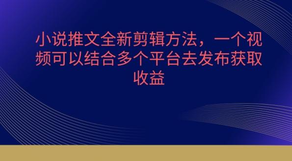 小说推文全新剪辑方法，一个视频可以结合多个平台去发布获取【揭秘】-鼎誉项目网