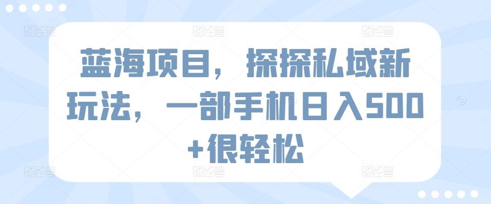 蓝海项目，探探私域新玩法，一部手机日入500+很轻松【揭秘】-鼎誉项目网