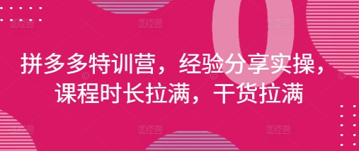 拼多多特训营，经验分享实操，课程时长拉满，干货拉满(更新25年4月)-鼎誉项目网