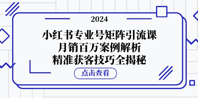小红书专业号矩阵引流课，月销百万案例解析，精准获客技巧全揭秘-鼎誉项目网